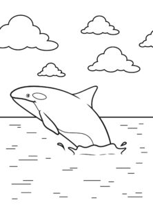 Killer whale in the ocean: big fin, sharp nose coloring page