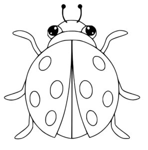 Ladybug anatomy: spots, antennae, legs coloring page