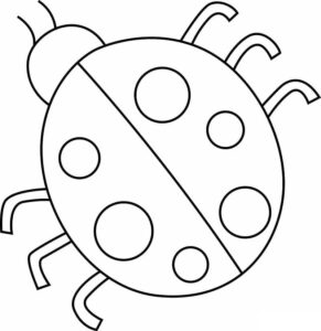 Ladybug anatomy: spots, legs, feelers coloring page