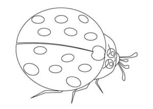 A big round ladybug. coloring page