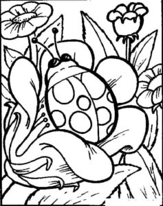 Ladybug on flower: nature’s beauty coloring page