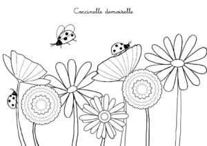 Ladybug on flower: nature’s beauty coloring page