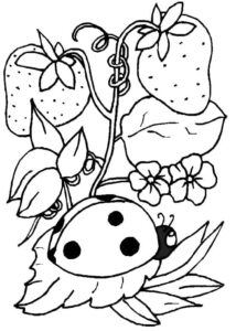 Ladybug on leaf with white spots coloring page