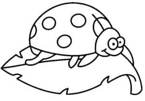 A ladybug resting on a leaf coloring page