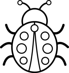 Simple drawing of a ladybug. coloring page