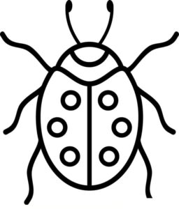 Simple sketch of a ladybug. coloring page