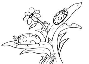 Ladybugs & flowers: a spotty sight coloring page