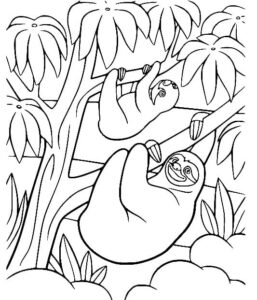 Lazy sloths bask in sunlit canopy coloring page