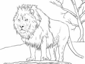 Lion king: majestic ruler of the rock coloring page