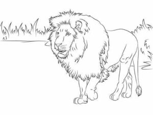 Lion king: ruler of the green field coloring page