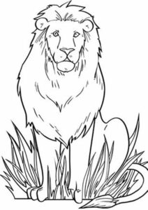 Lion roars across grassy plains coloring page coloring page