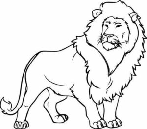 Lion silhouette: a powerful encounter coloring page