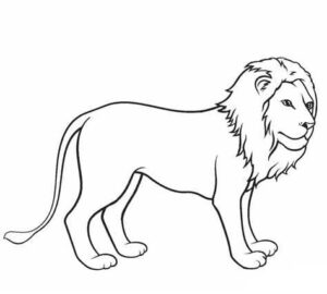 Lion’s ambush: coiled muscles, silent threat coloring page