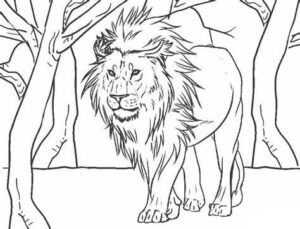 Lion’s gaze: shadows in the forest coloring page