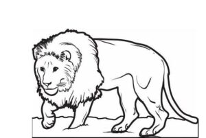 Lion’s silent roar: a powerful image coloring page