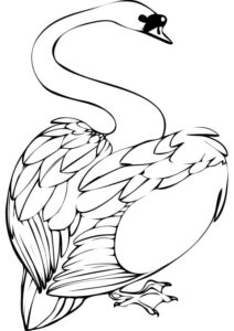 Lone swan, white against stark canvas coloring page