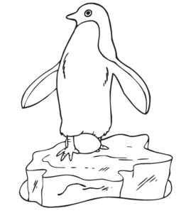 Lonely penguin: sentinel of the ice coloring page