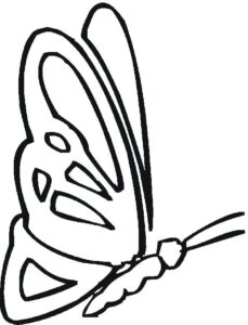 Long-tailed butterfly soars with open wings coloring page