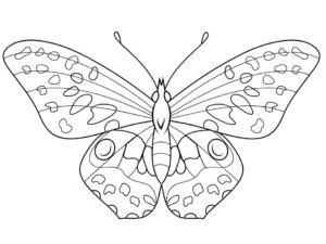 Long-tailed butterfly: wings spread wide coloring page