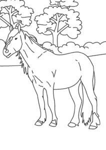 Majestic horse in lush meadow coloring page