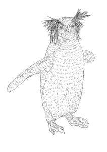 Royal penguin perched, feathers ruffling coloring page