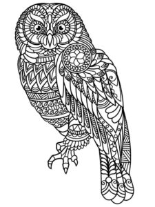 Majestic owl: wings spread, eyes keen coloring page