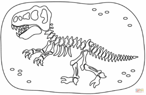 Menacing Dinosaur Skeleton Display: A Haunting Reminder of Ancient Worlds coloring page