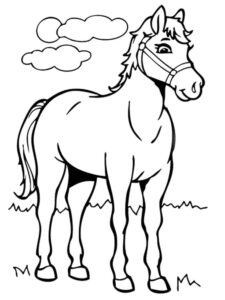 Moonlit horse in a cloud sea coloring page