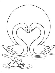 Moonlit swans: love & serenity coloring page