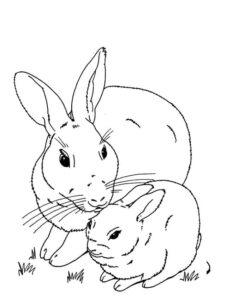 Mother rabbit’s love for her young coloring page