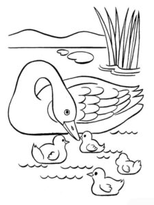 Mother swan & swanlings play in pond coloring page