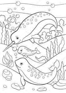 Family narwhals swim in seaweed coloring page