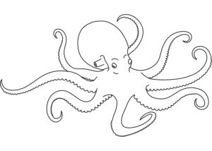 Octopus a surreal encounter coloring page coloring page