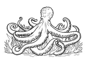 Octopus on grass: strange sight coloring page