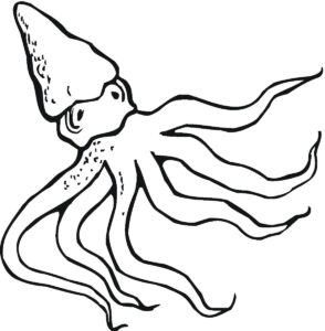 One-eyed squid: strange sea creature coloring page