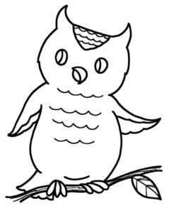 Owl adjusts hat, watches unseen coloring page