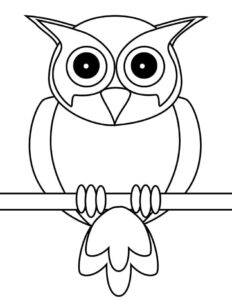 Owl close-up: sharp features, wide eyes coloring page