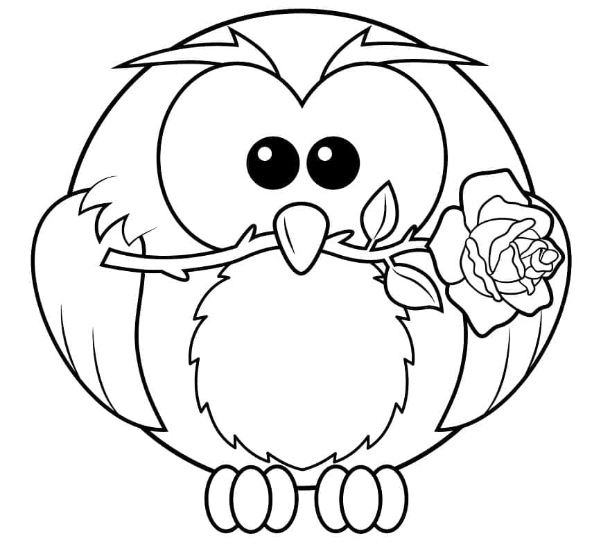 Owl offers rose: nature’s silent gift