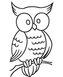 Owl’s intense gaze: a moment captured coloring page