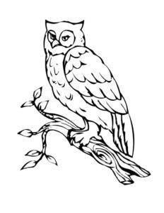 Owl’s majestic wingspan: a stunning sight coloring page