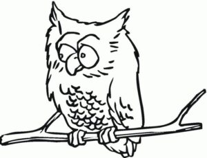 Owl’s surprise: wide-eyed stare on branch coloring page