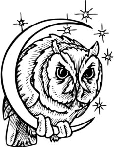 Owl’s troubled gaze at luminous moon coloring page