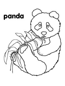 Panda eating bamboo: adorable photo coloring page