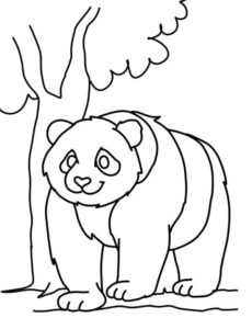 Panda underneath tree: a sight to see coloring page