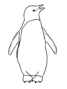 Penguin soaring: majestic wings spread wide coloring page