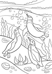 Penguins swimming in the water coloring page