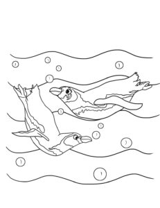 Playful penguins swim coloring page