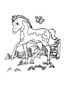 Playful pony chases butterfly in field coloring page