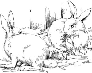 Rabbits, carrots, and camouflage coloring page