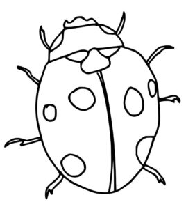 A realistic ladybug coloring page